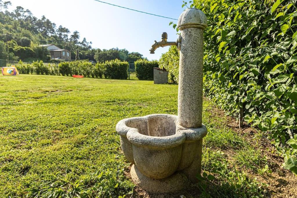 Casale Toscano Piscina Wi-Fi Capannori Ngoại thất bức ảnh
