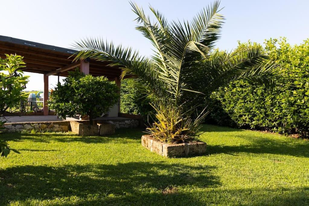 Casale Toscano Piscina Wi-Fi Capannori Ngoại thất bức ảnh